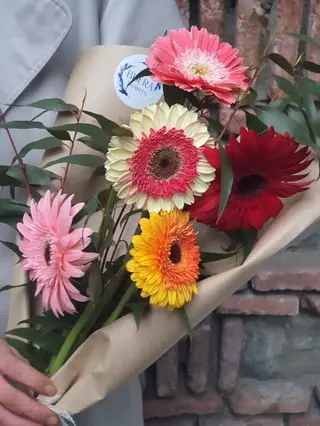 გერბერების თაიგული