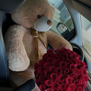 Urs de plus si trandafiri 