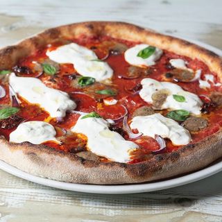 NUEVA - Mediana Di Sasa