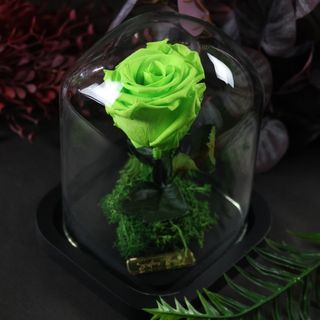 Cloche Carre Limme vert