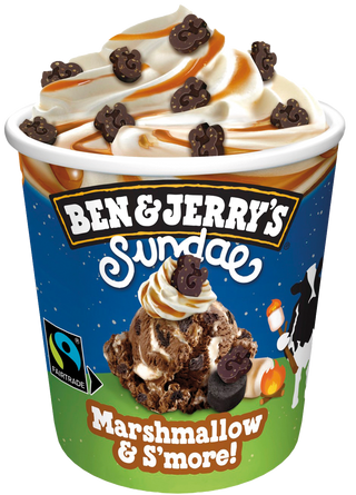 Ben&Jerry's Marshmallow & S'More (427ml)