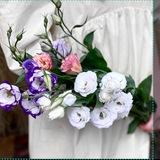 ფერადი ეუსტომა (10 ტოტი)