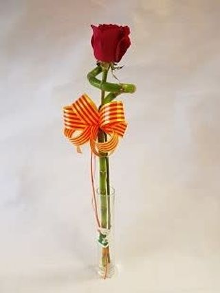 Rosa Amb Canya De Bambú