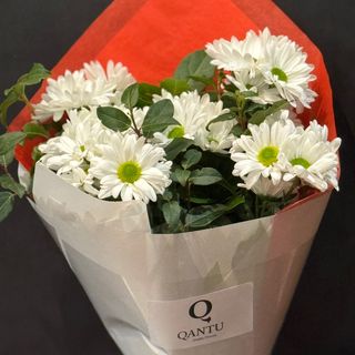 Ramo De Margaritas Blancas