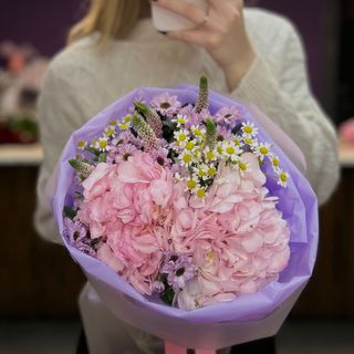 Літня рапсодія 