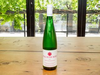 Alto Adige Pacher Hof | Gewurztraminer 