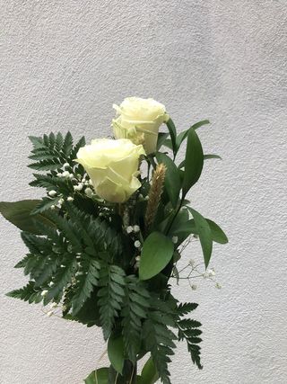 2 Rosas Blancas
