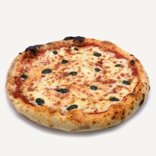 QUEEN MARGARITA (33cm)..