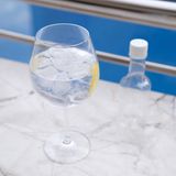 Classic gin and tonic 