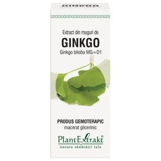 Extract din muguri de ginkgo (GINKGO BILOBA)