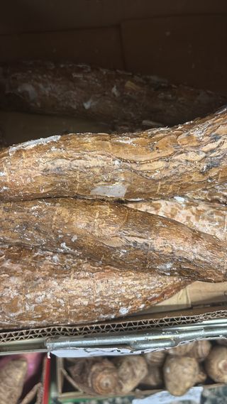 Manioca,  yuca, mandioca fresca al 1 kg