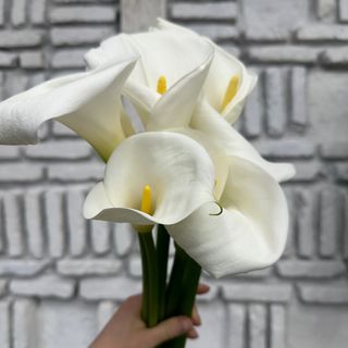 კალა ( 5 ცალი ) 