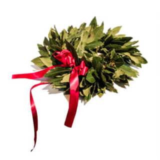 Coroncina laurea