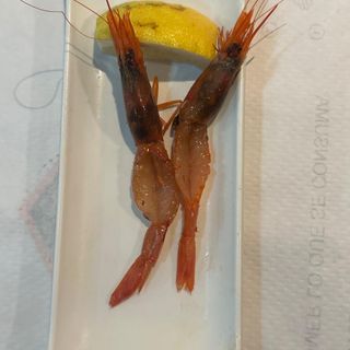 25C. Sashimi De Gamba Roja 2unds