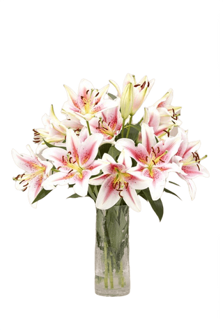 Bouquet gigli rosa