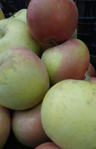 Manzana Fuji ecológica