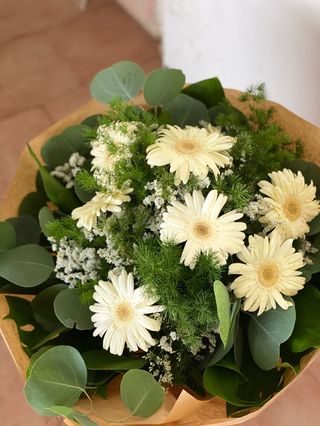 Ramo 9 Gerveras Blancas