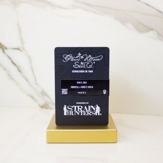 King's Juice American Strain THC - 1 semente