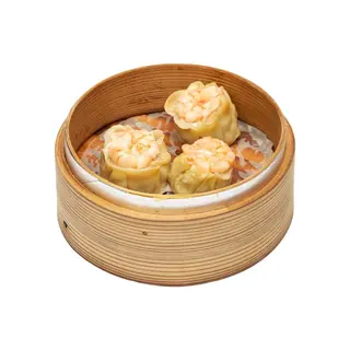 51-Saomai 4PZ