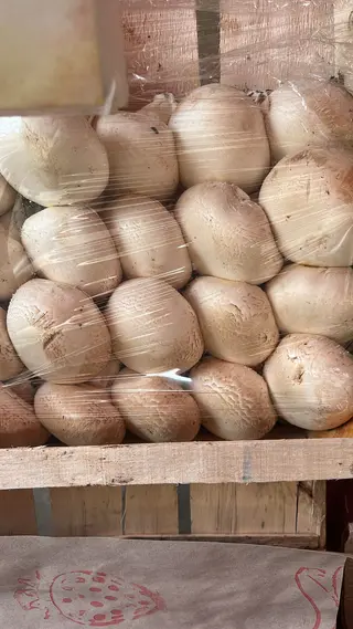 Funghi 1 kg