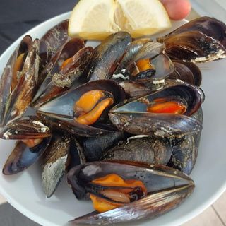 Mejillones al vapor 