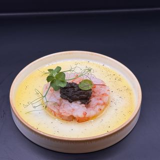 502.TARTAR AMAEBI TARTUFO