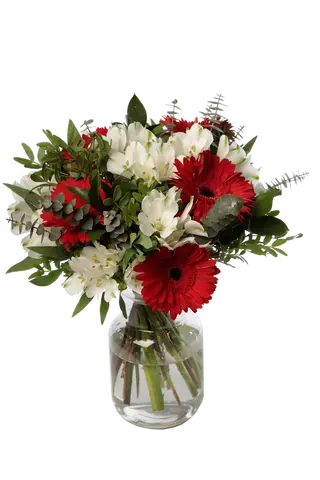 Bouquet de Gereberas da Minha Terra