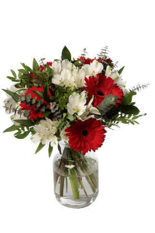 Bouquet de Gereberas da Minha Terra