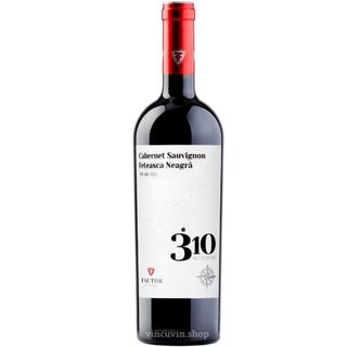 Fautor 310 Cabernet-Feteasca Neagra 