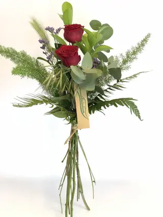 2 Rosas Rojas 