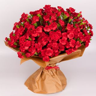 Goździk czerwony mały (100szt)