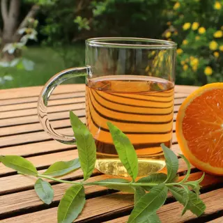 Verveine