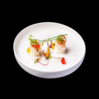 306. CAPESANTE FRESH*