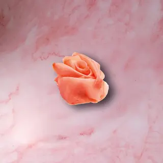 Jengibre