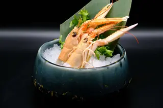 193 - Sashimi scampi