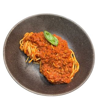 Bolognesa