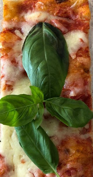 Pizza Margherita