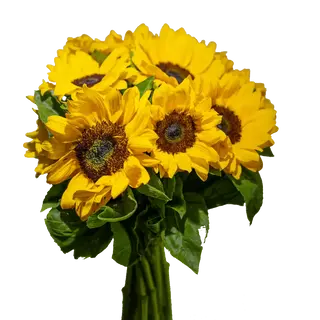Bouquet 4 girasoli