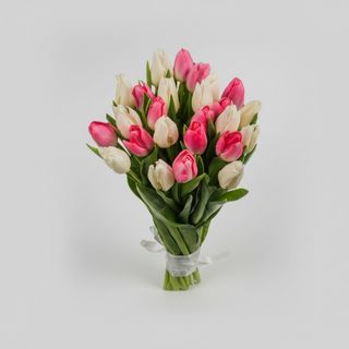 Букет тюльпанів"Ніжність"