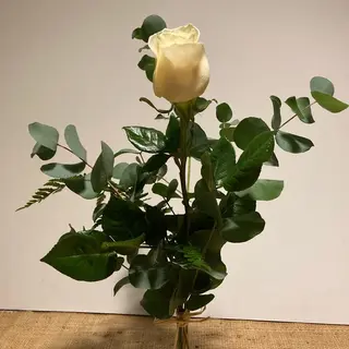 Una Rosa Blanca