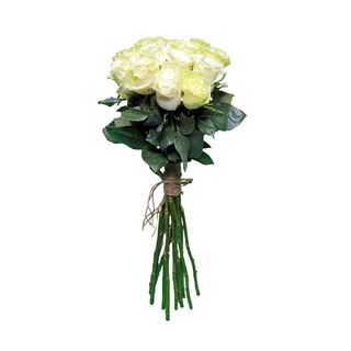 Buchet 15 Trandafiri Albi