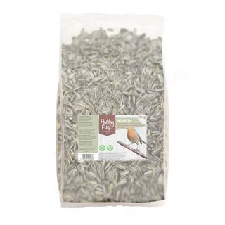 HOBBY FIRST Suncokret, 1,75kg (KOD HF140091290)