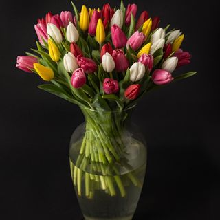 Bouquet 50 tulip mixto