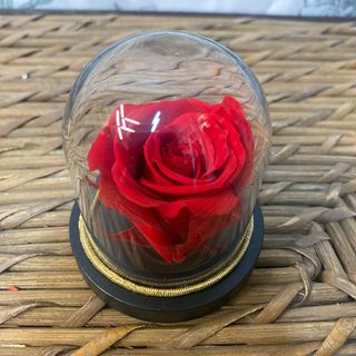 Mini cúpula rosa liofilizada