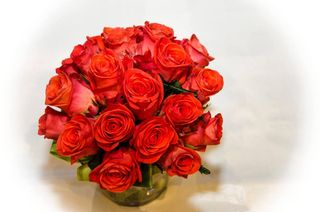 Buket 25 ruža