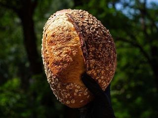 Хліб пивний