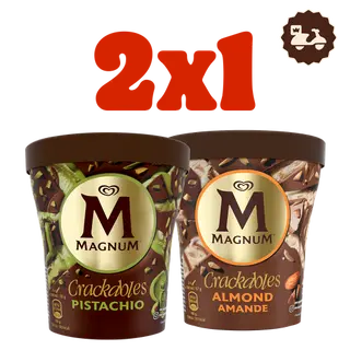 Magnum 2x1