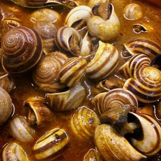 Caracoles En Salsa 