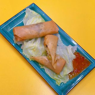 Involtini primavera 2 pezzo（春卷2）