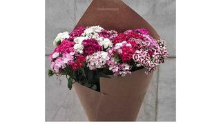 ბარბატუსის ბუკეტი